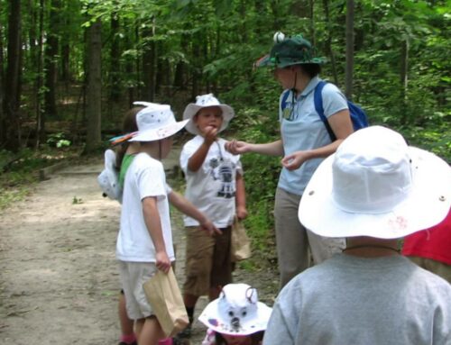 Park Perspective: Nature Preserve