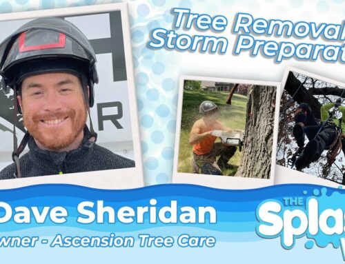 What to Do with Damaged Trees After Severe Storms | Dave Sheridan | Ascension Tree Care